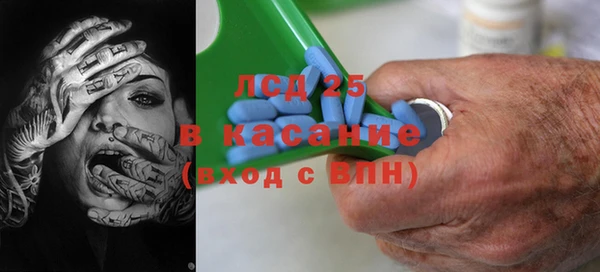 прущие грибы Баксан