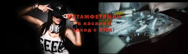 прущие грибы Баксан