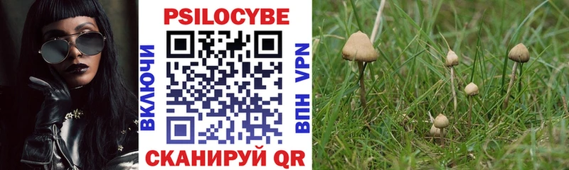 Псилоцибиновые грибы Magic Shrooms  купить наркотики цена  Кущёвская 